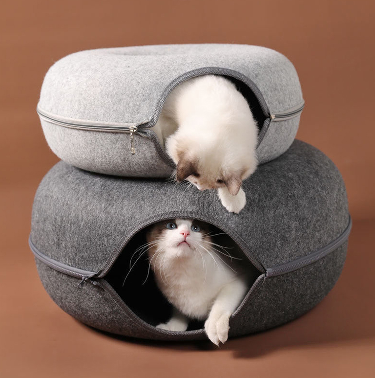 alt = "Two cats in cat bed tunnels looking to each other"