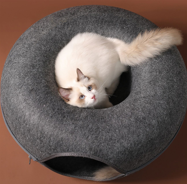 alt = "A white cat seated on a grey cat bed tunnel looking up"