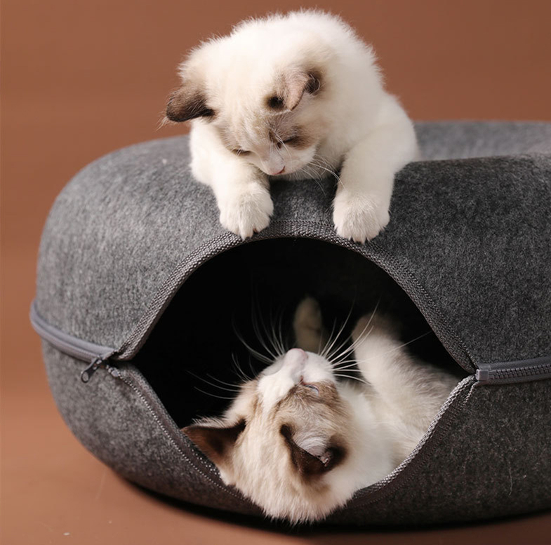 alt = "Two white cats looking to each other on a cat bed tunnel"