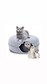 alt = "A happy cat on the cat bed tunnel with one cat inside with another cat next to a rabbit"