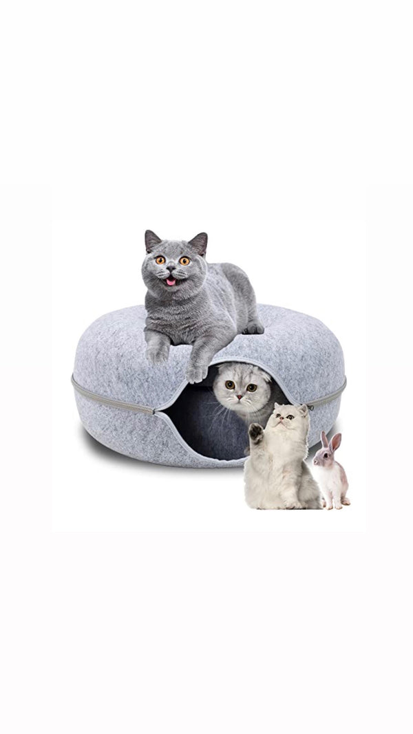 alt = "A happy cat on the cat bed tunnel with one cat inside with another cat next to a rabbit"