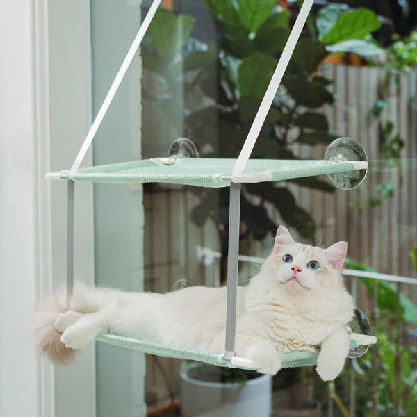 alt = "A cat on a comfortable hammock bed hanged on a window"