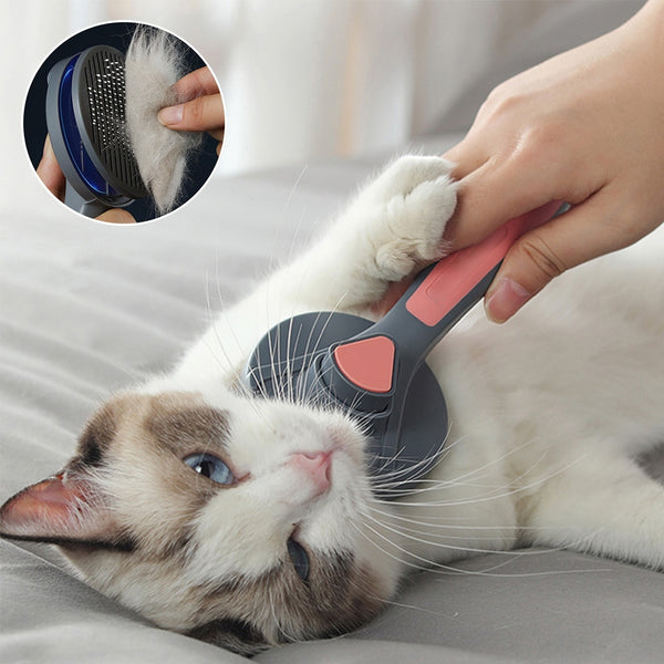 alt = "A hair removal brush for pets, cats and dogs"